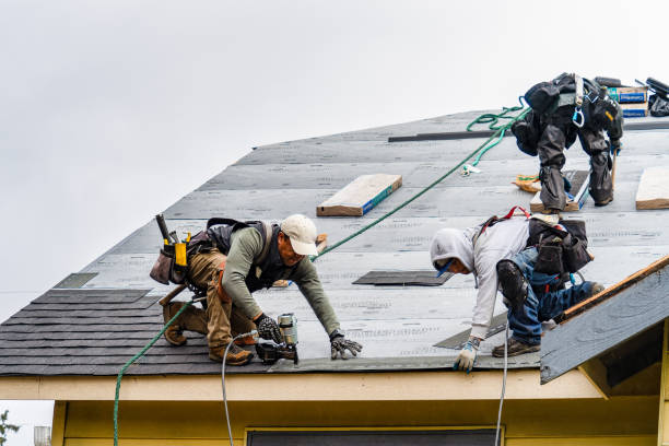 Professional Gutter Installation technician working in Italy, TX
